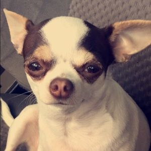 Meet your Posher, Edward